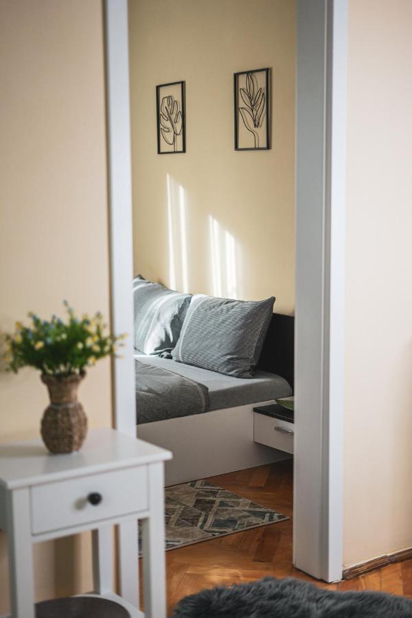 Central And Modern Apartment With Free Parking Timisoara Ngoại thất bức ảnh