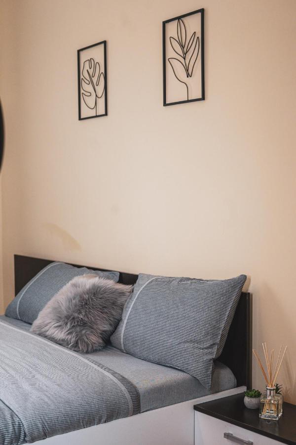 Central And Modern Apartment With Free Parking Timisoara Ngoại thất bức ảnh