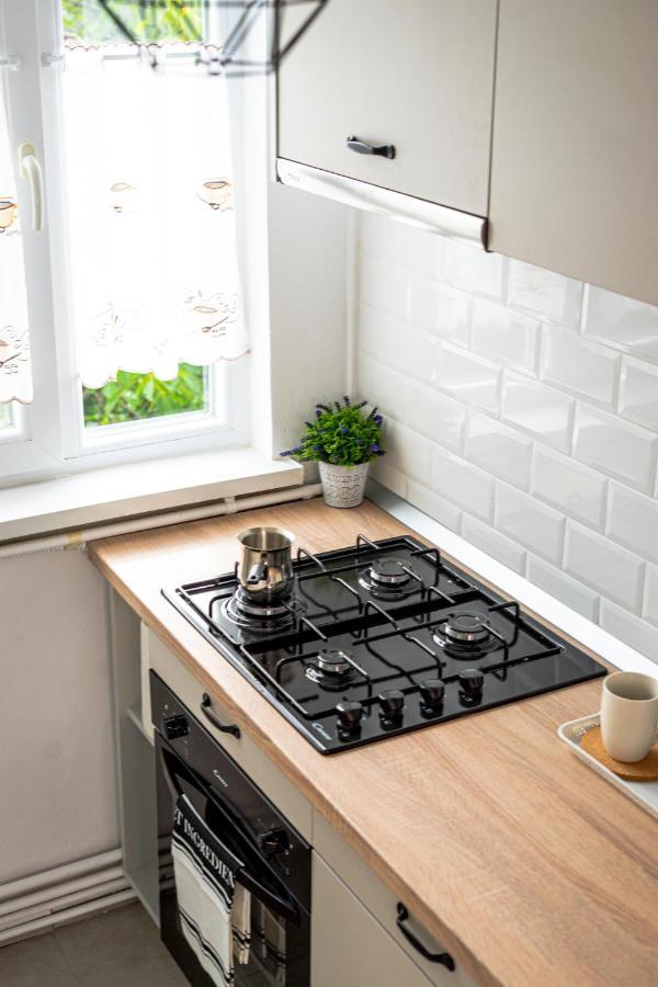 Central And Modern Apartment With Free Parking Timisoara Ngoại thất bức ảnh