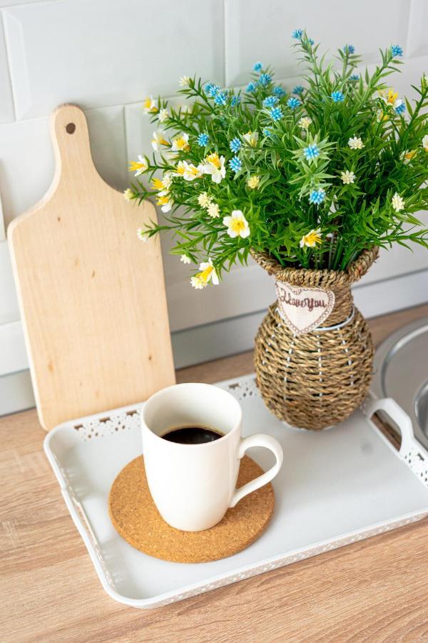 Central And Modern Apartment With Free Parking Timisoara Ngoại thất bức ảnh